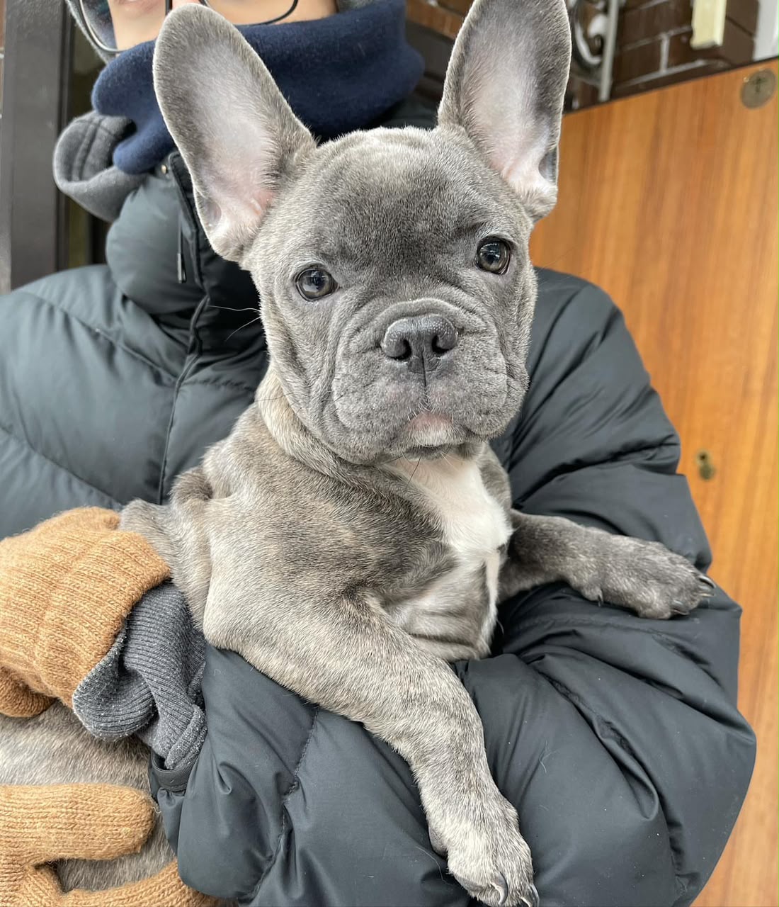 Truffle