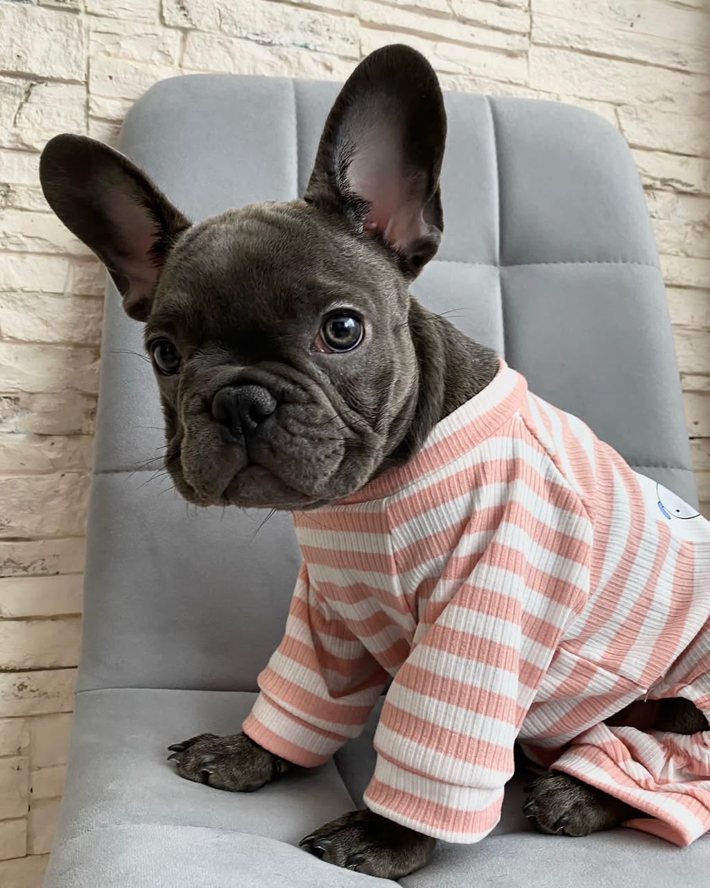 Lilu